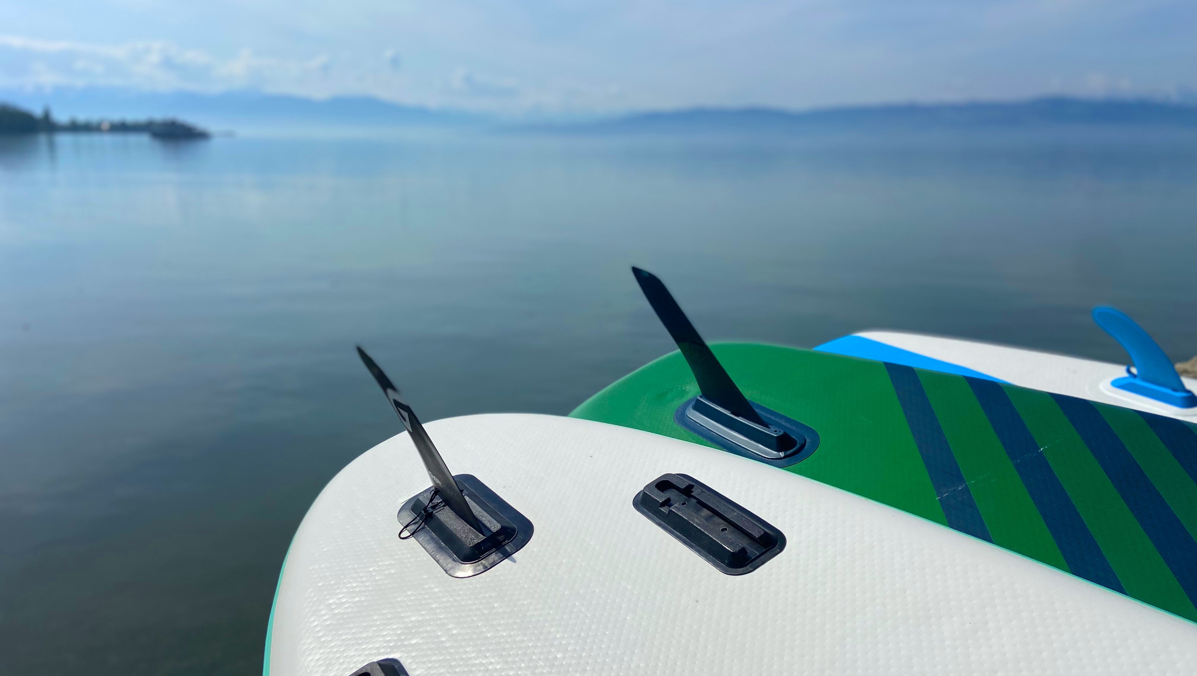 Quali sono gli scatti delle pinne disponibili su es?